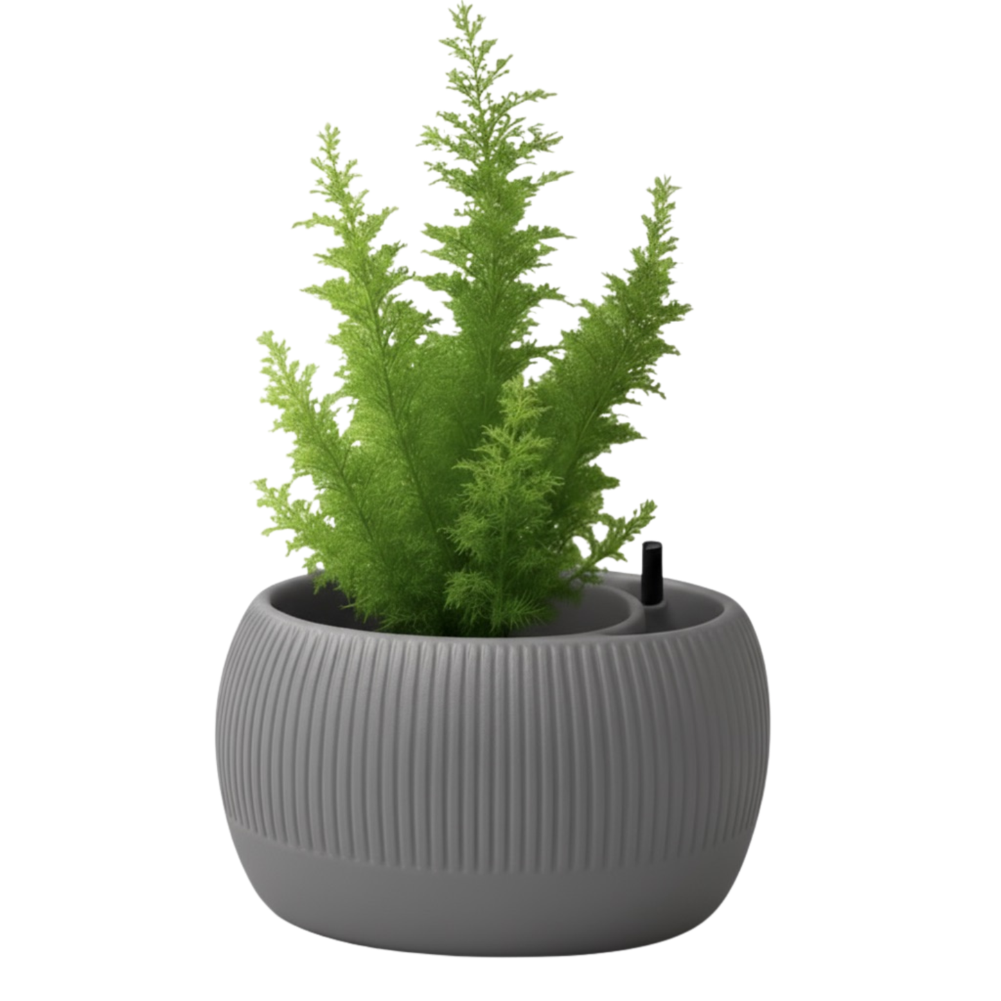 Oasis self-watering pot