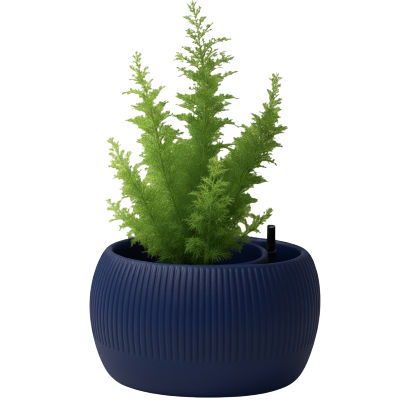 Oasis self-watering pot