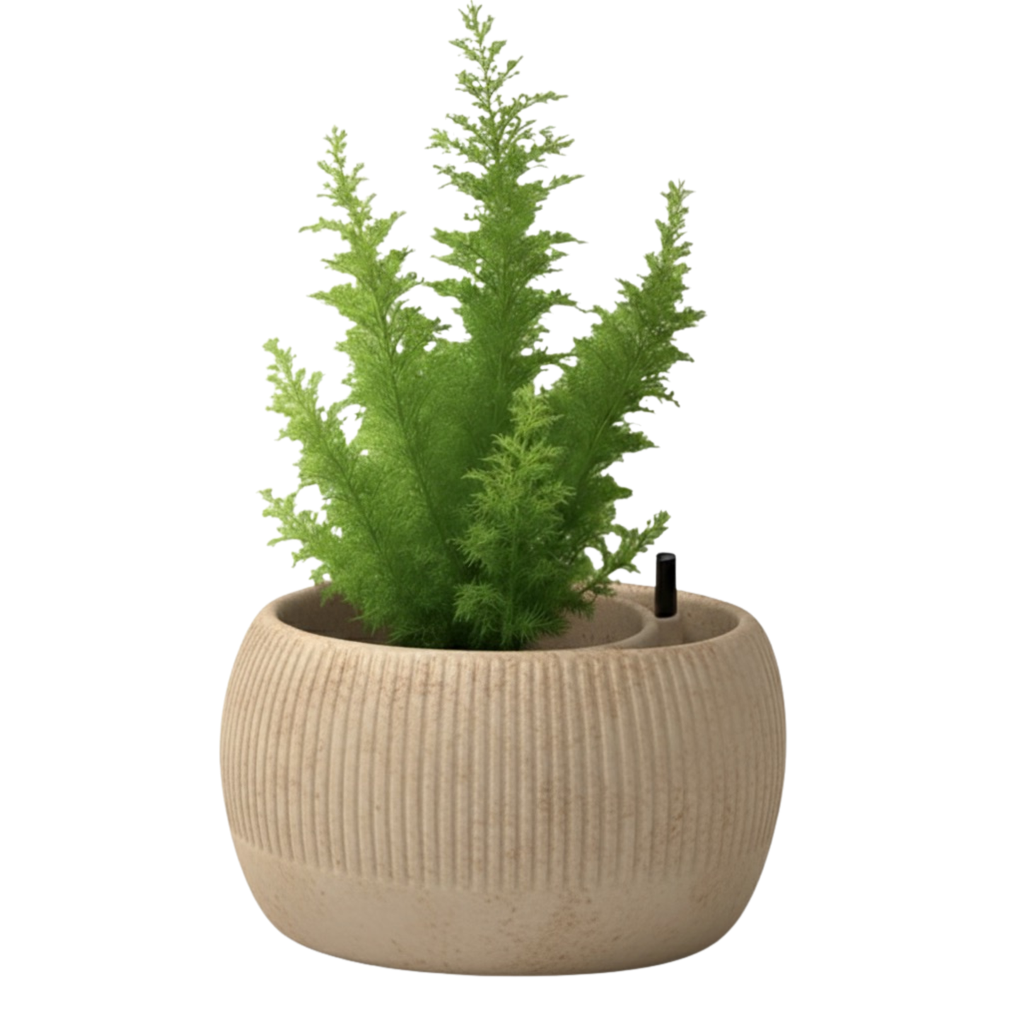 Oasis self-watering pot