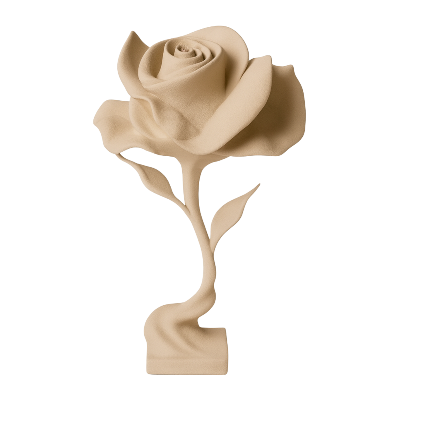 Veloura rose