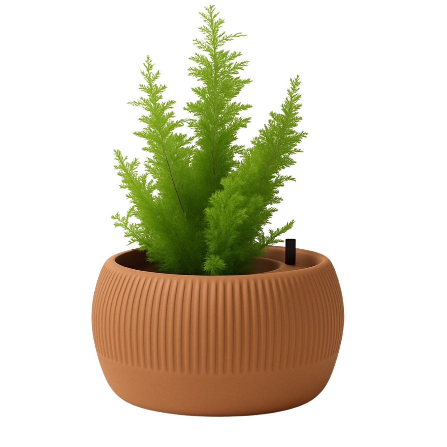 Oasis self-watering pot