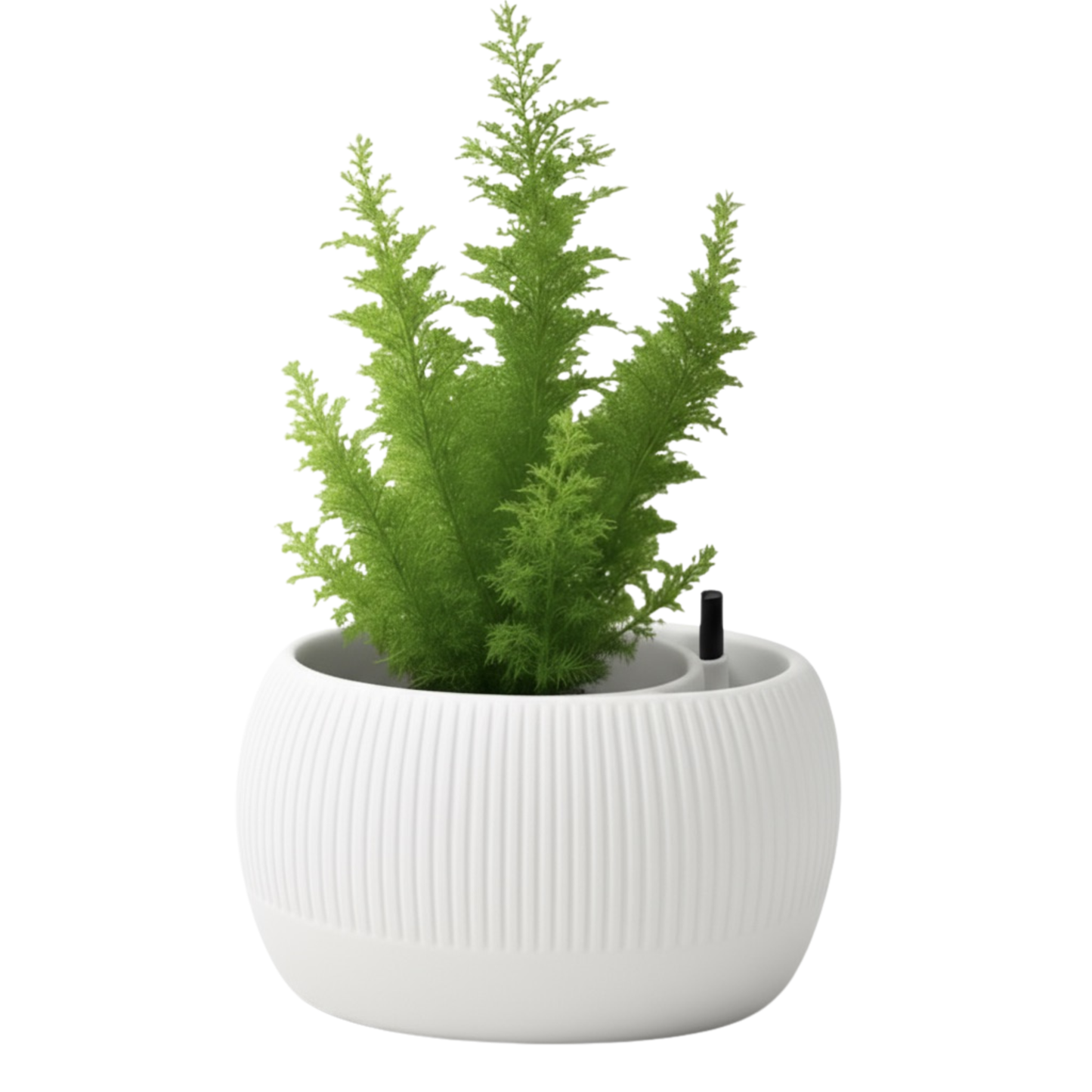 Oasis self-watering pot