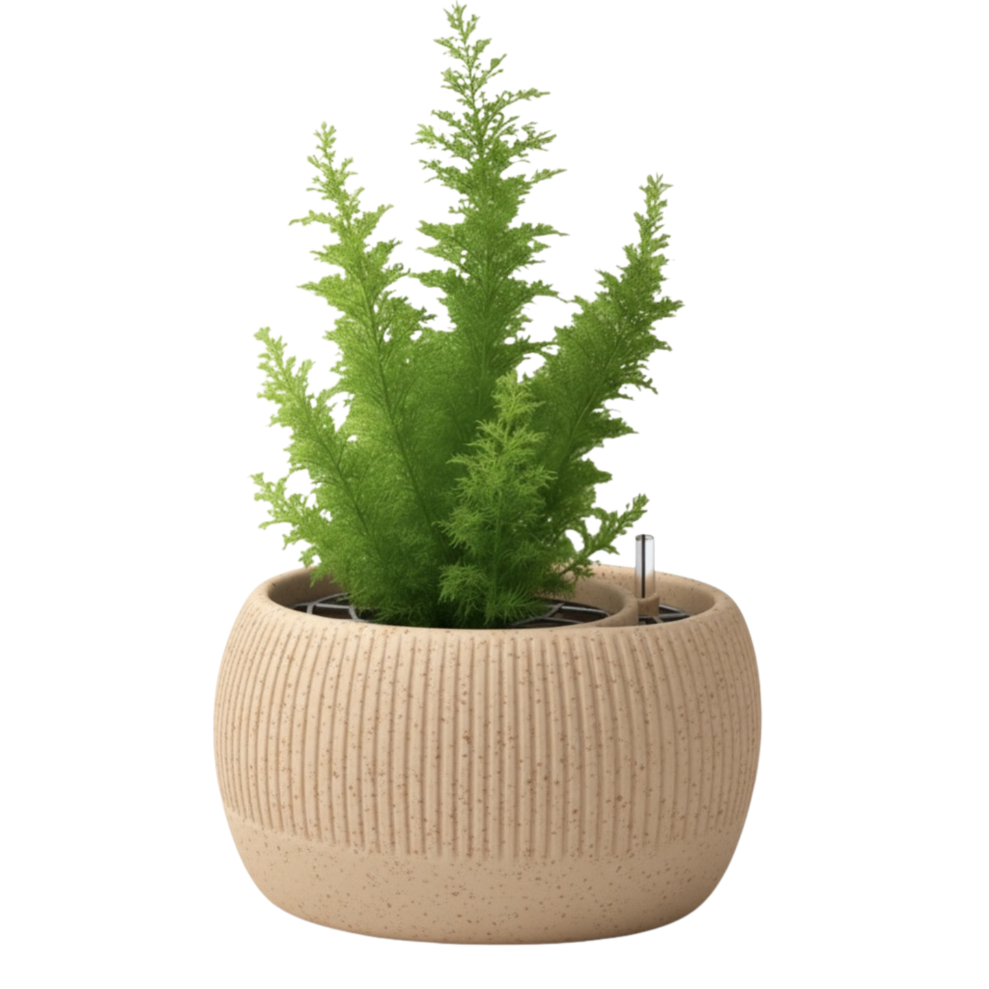 Oasis self-watering pot