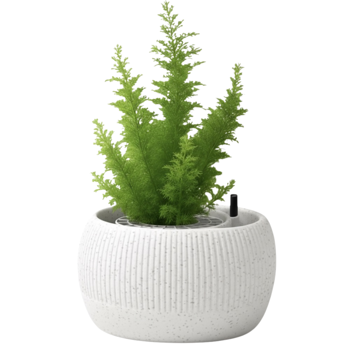 Oasis self-watering pot