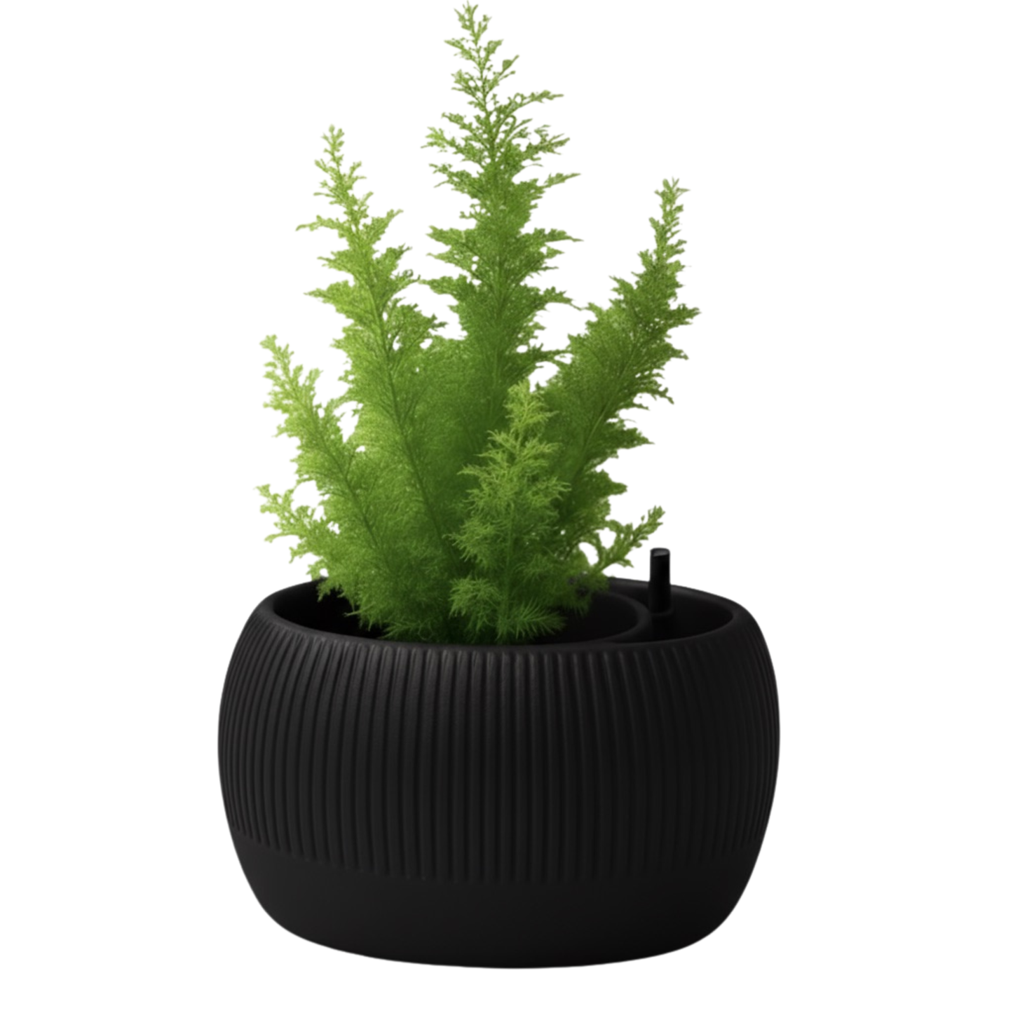 Oasis self-watering pot