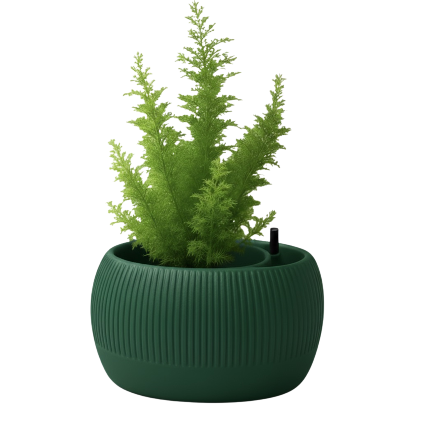 Oasis self-watering pot
